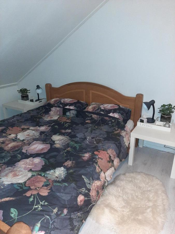 Hooibeemd Daire Assen Dış mekan fotoğraf