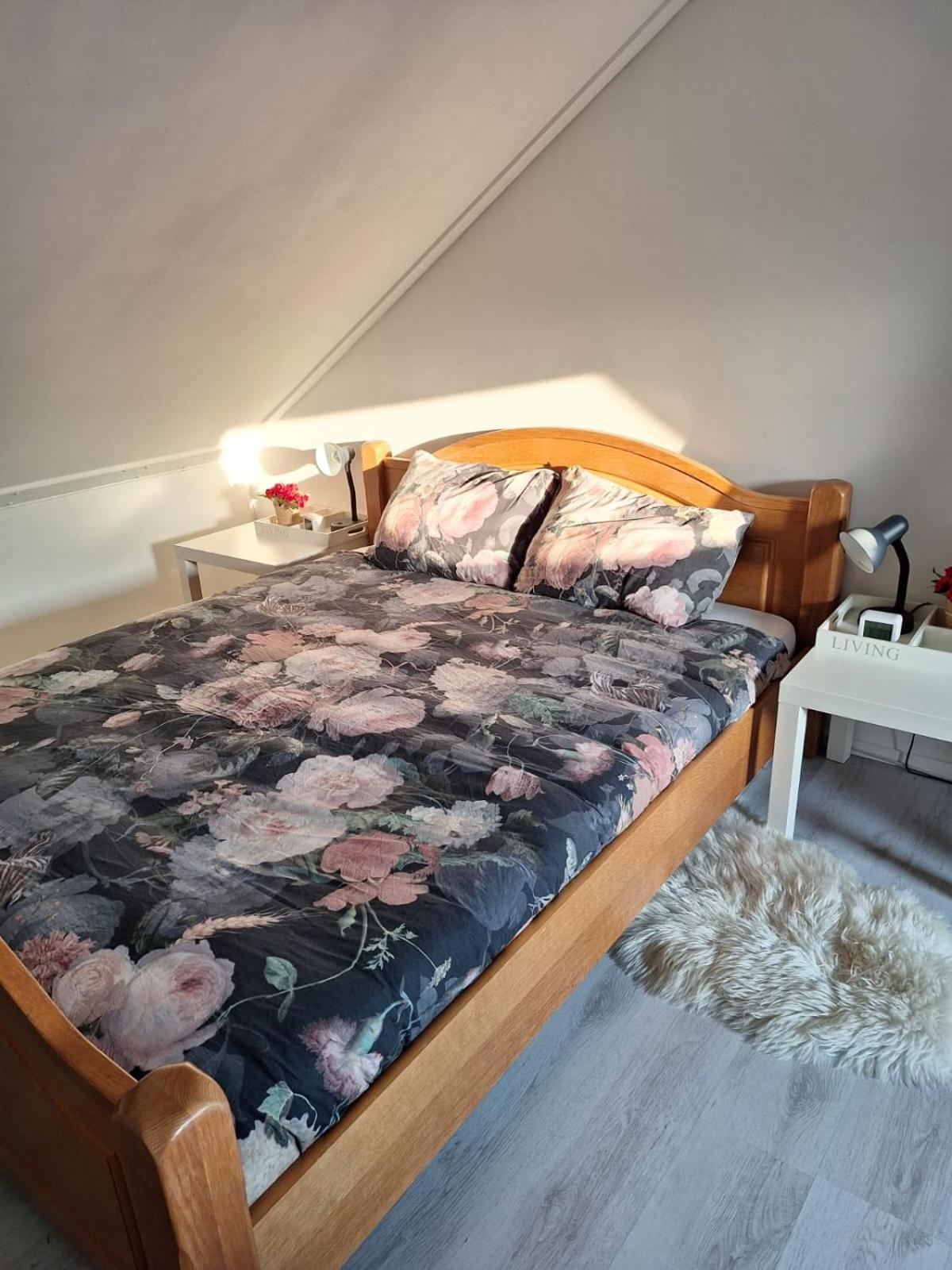 Hooibeemd Daire Assen Dış mekan fotoğraf